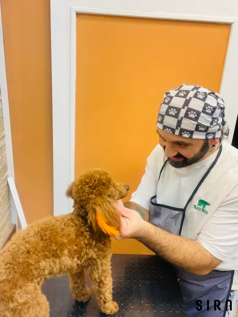 Shila Pet Kuaför - Fotoğraf 2